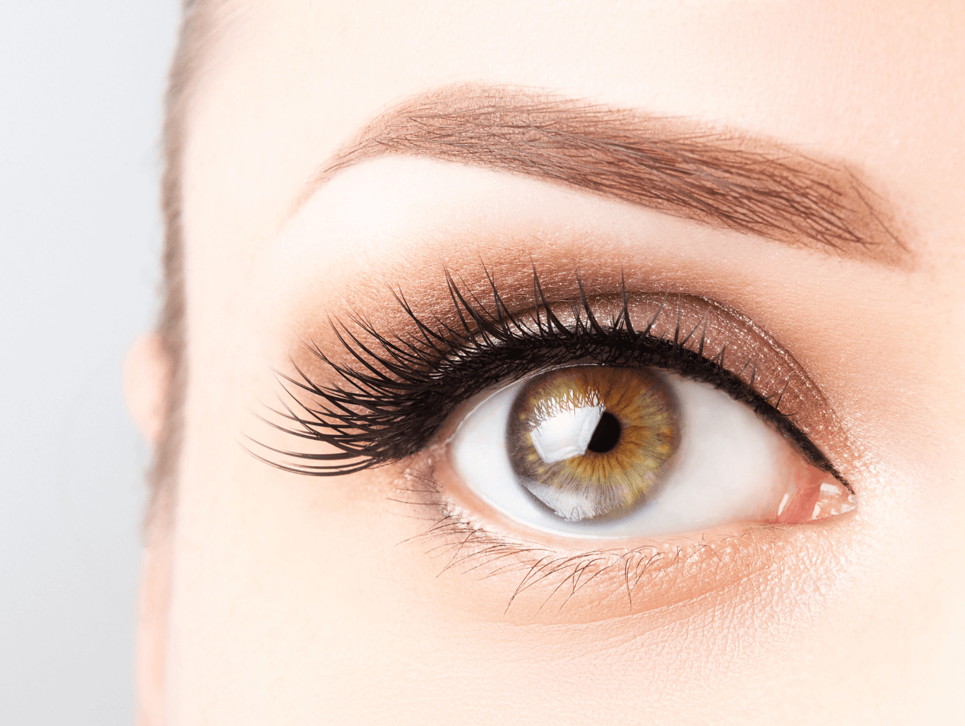 Close-up of eyelash tint being applied with precision tool in a professional beauty salon in Weymouth